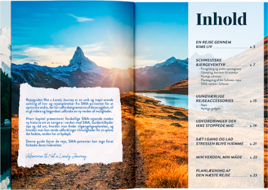 bog mockup billede